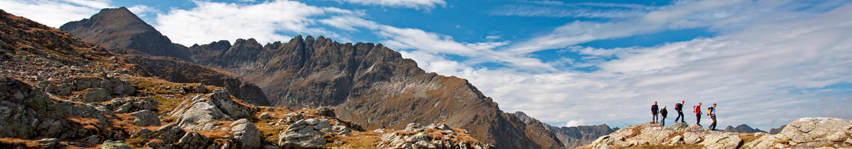 C:fakepathHeader_WO_8